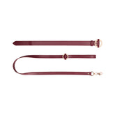 Ouch Halo Collar With Leash